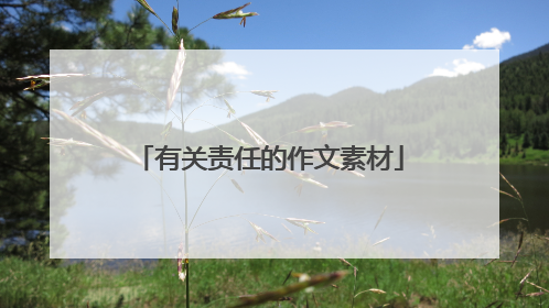 有关责任的作文素材