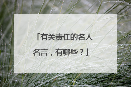 有关责任的名人名言,有哪些?
