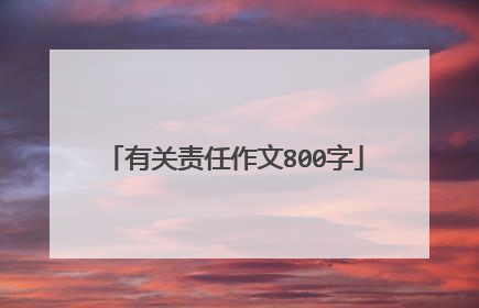 有关责任作文800字
