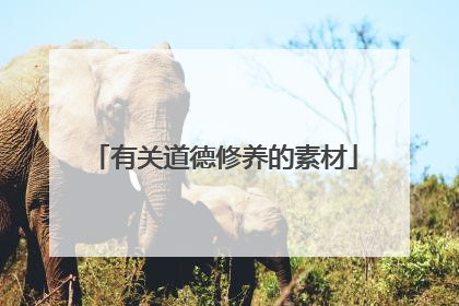 有关道德修养的素材