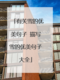 有关雪的优美句子 描写雪的优美句子大全