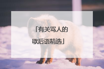 有关骂人的歇后语精选