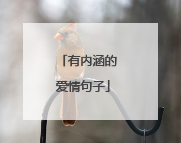 有内涵的爱情句子