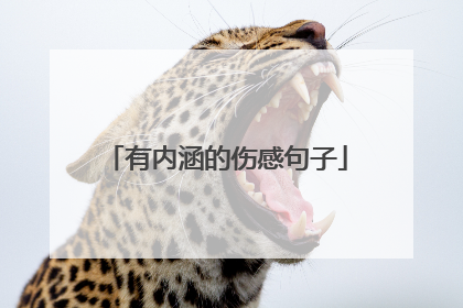 有内涵的伤感句子