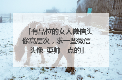 有品位的女人微信头像高层次,求一些微信头像 要帅一点的