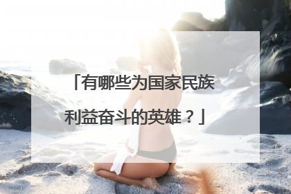 有哪些为国家民族利益奋斗的英雄?