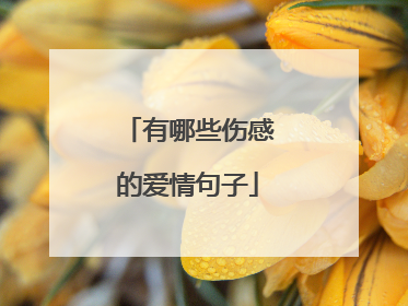 有哪些伤感的爱情句子