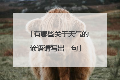 有哪些关于天气的谚语请写出一句
