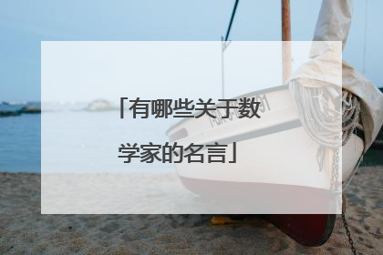 有哪些关于数学家的名言