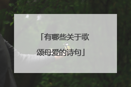 有哪些关于歌颂母爱的诗句