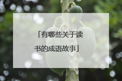 有哪些关于读书的成语故事