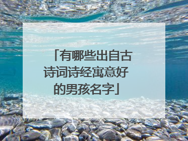 有哪些出自古诗词诗经寓意好的男孩名字