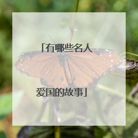 有哪些名人爱国的故事