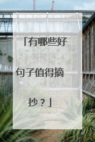 有哪些好句子值得摘抄?