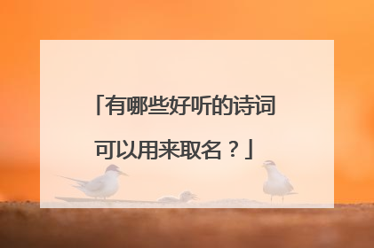 有哪些好听的诗词可以用来取名?