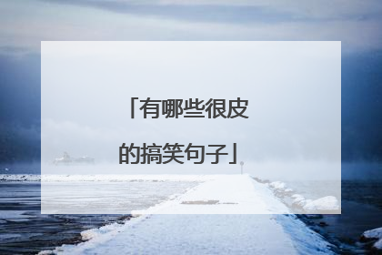 有哪些很皮的搞笑句子