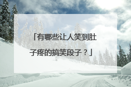有哪些让人笑到肚子疼的搞笑段子?