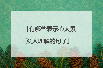 有哪些表示心太累没人理解的句子