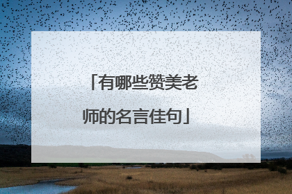 有哪些赞美老师的名言佳句