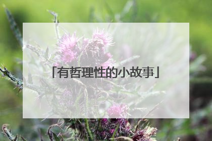 有哲理性的小故事