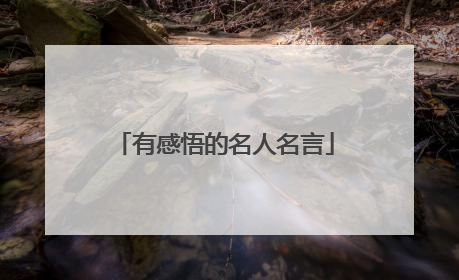 有感悟的名人名言