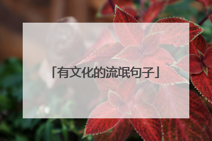 有文化的流氓句子