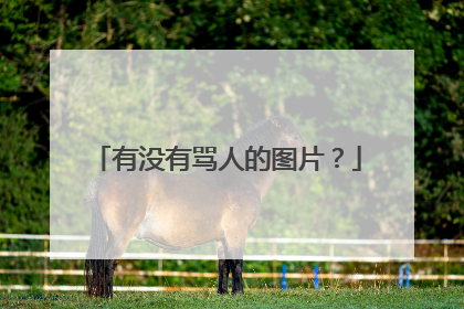 有没有骂人的图片?