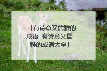 有诗意又儒雅的成语 有诗意又儒雅的成语大全