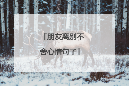 朋友离别不舍心情句子