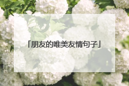 朋友的唯美友情句子