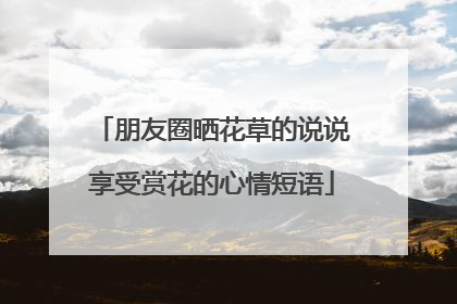 朋友圈晒花草的说说享受赏花的心情短语