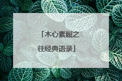 木心素履之往经典语录
