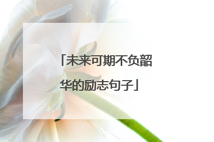未来可期不负韶华的励志句子