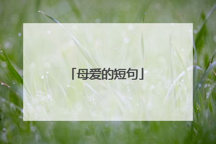 母爱的短句
