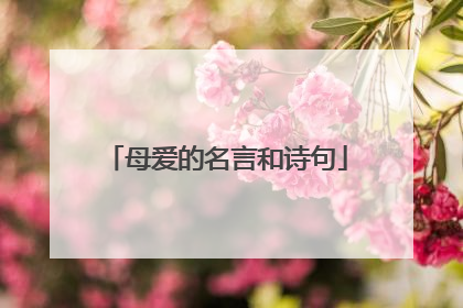 母爱的名言和诗句