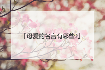 母爱的名言有哪些?