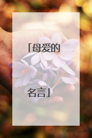 母爱的名言