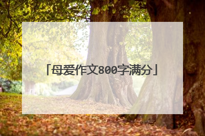 母爱作文800字满分