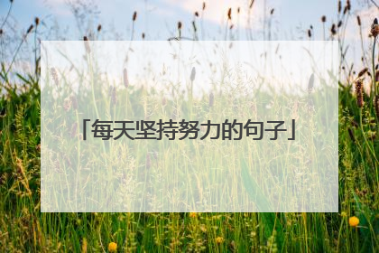 每天坚持努力的句子