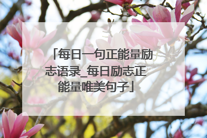 每日一句正能量励志语录_每日励志正能量唯美句子