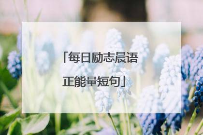 每日励志晨语正能量短句