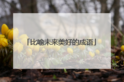 比喻未来美好的成语