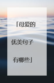 母爱的优美句子有哪些