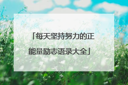 每天坚持努力的正能量励志语录大全
