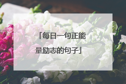 每日一句正能量励志的句子