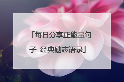 每日分享正能量句子_经典励志语录
