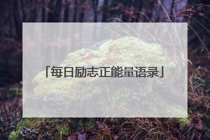 每日励志正能量语录