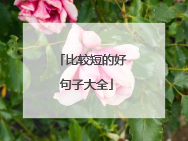 比较短的好句子大全