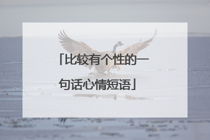 比较有个性的一句话心情短语