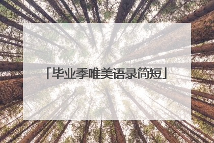 毕业季唯美语录简短